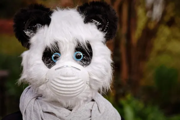 HeySpin Casino Ënnerstëtzung